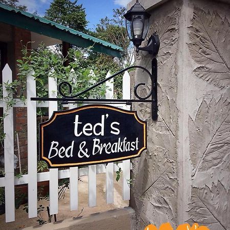 Ted'S Bed And Breakfast Santa Cruz  Esterno foto